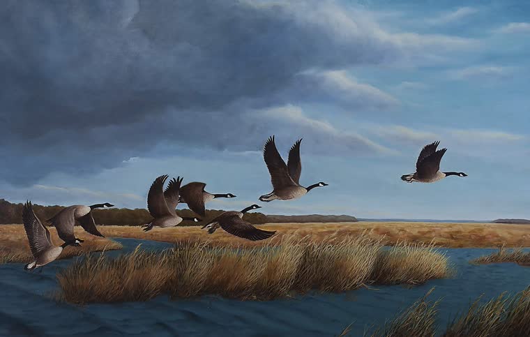 “Ahead of the Storm” — oil painting of a canada geese by Bill Langis