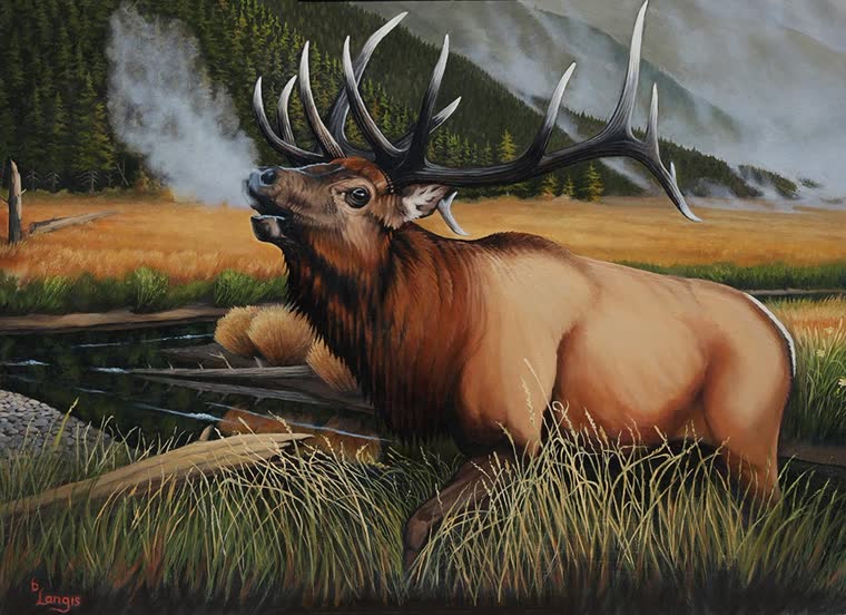 “Bellow of the Beast” — oil painting of a elk by Bill Langis