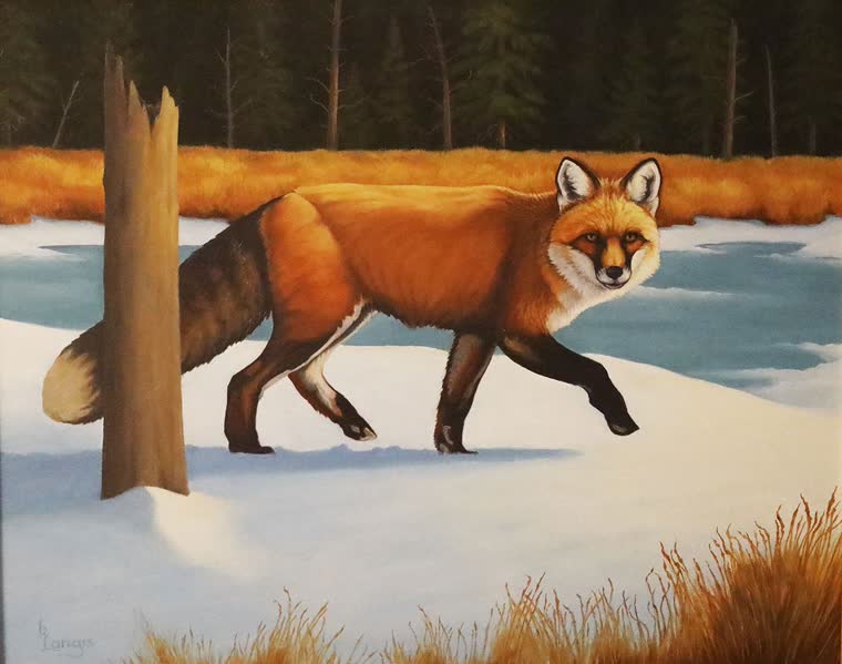 “Cross Tracker” — oil painting of a red fox by Bill Langis