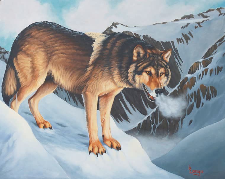 “Living on the Edge” — oil painting of a wolf by Bill Langis