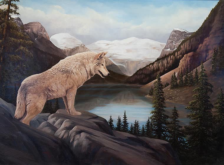 “Overlook” — oil painting of a wolf by Bill Langis