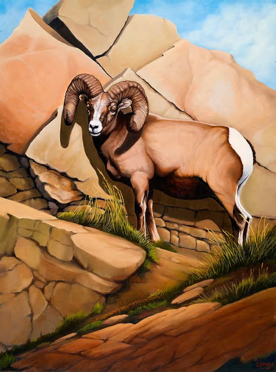 “Ram Tough” — oil painting of a bighorn sheep by Bill Langis