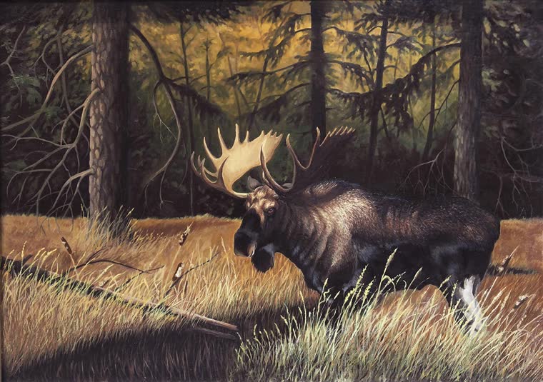 “The Bull” — oil painting of a moose by Bill Langis