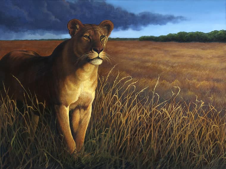 “The Huntress” — oil painting of a lioness by Bill Langis
